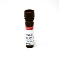 PMA Biotium 40013 细菌革兰氏染色和活性分析 美国原装