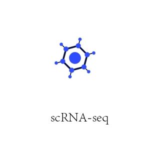 scRNA-seq单细胞转录组