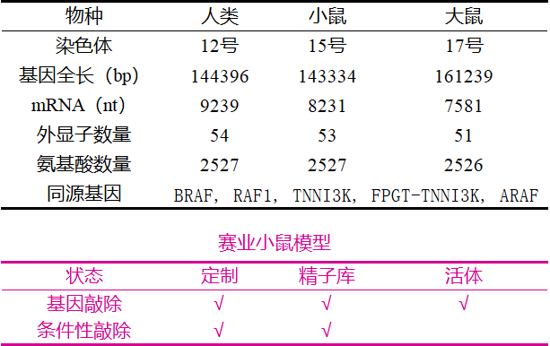 帕金森病致病基因之LRRK2
