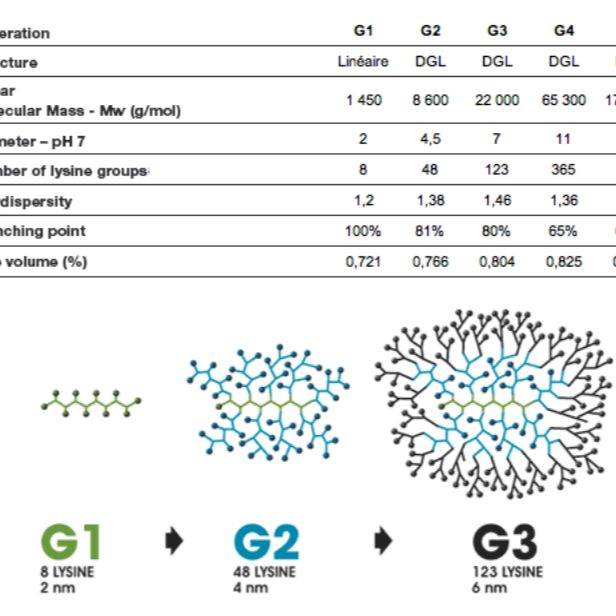 DGL/多聚赖氨酸树状大分子