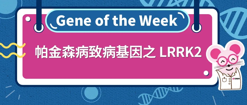 帕金森病致病基因之LRRK2