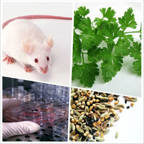 IRRADIATORS XCELL辐照仪应用举例