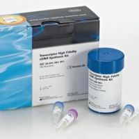 Transcriptor High Fidelity cDNA Synthesis Kit