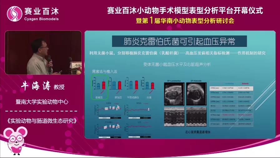 实验动物与肠道微生态研究