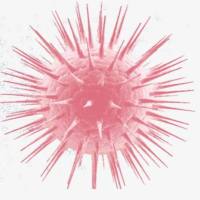 抑菌试验|最低抑菌浓度(MIC)检测|抑菌作用测试