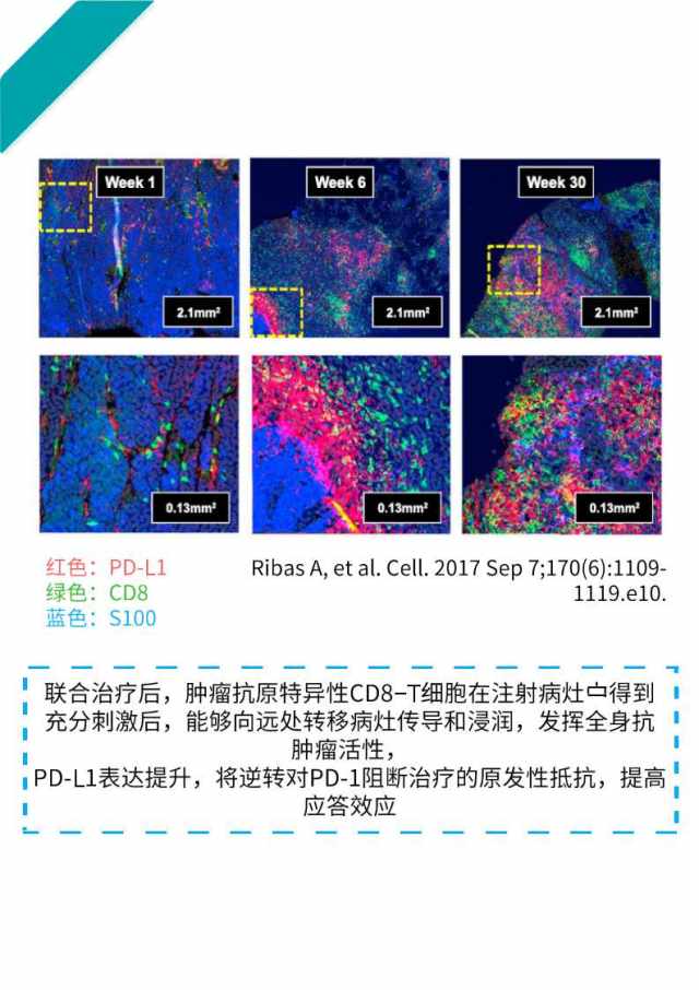 幻灯片17.jpg