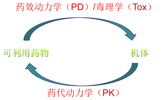 浅谈--创新药物申报