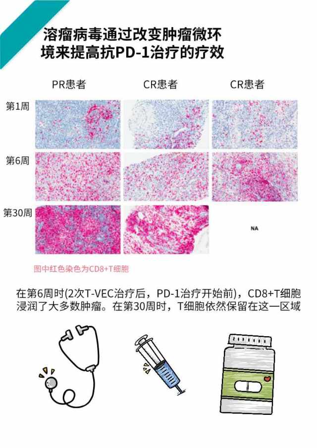 幻灯片16.jpg