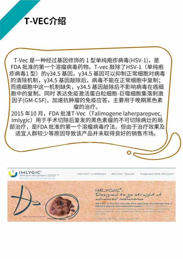 幻灯片12.jpg