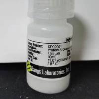 蛋白A包被微球(4.95µm)