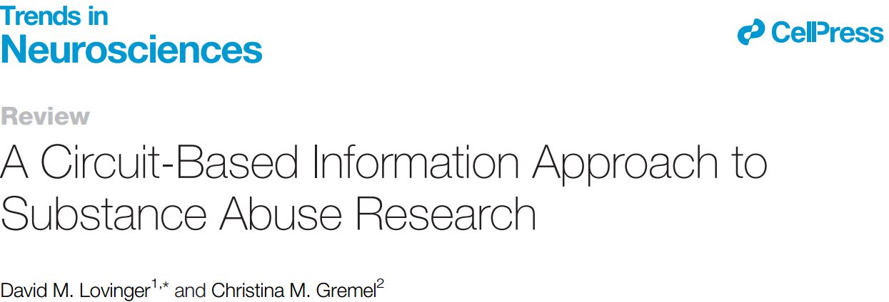 揭示SUD相关神经环路与行为学的深度联系《文献解读》皮质-丘脑-基地神经节（CTBG）回路在药物滥用中的作用