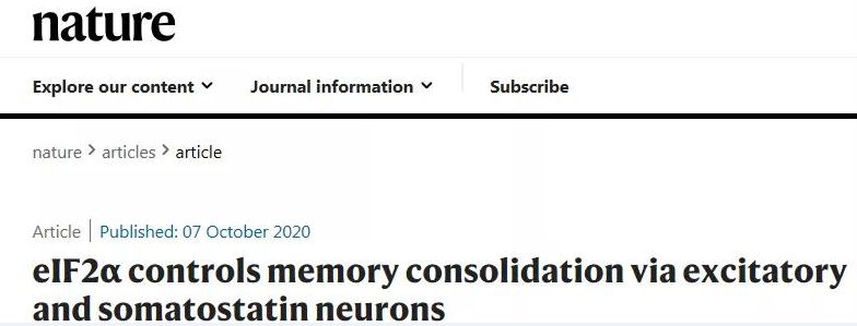 《文献解读》揭开记忆巩固的神秘面纱