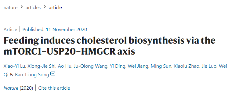 赛业生物点突变小鼠荣登Nature，助力代谢疾病研究