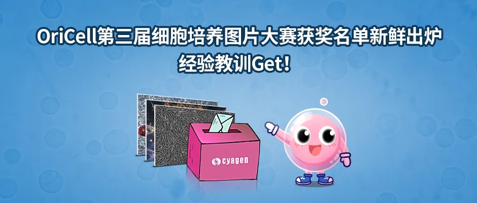 OriCell第三届细胞培养图片大赛获奖名单