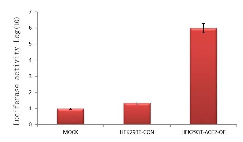 一站配齐：核酸诊断、抗体中和评价、感染机制研究的假病毒