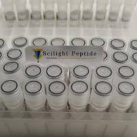 亚光多肽 年底促销