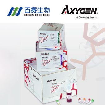 AxyPrepDNA凝胶回收试剂盒