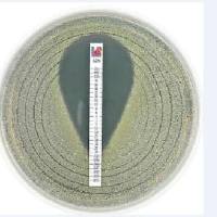 意大利环丙沙星MIC梯度定量试纸