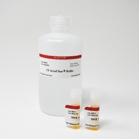 AccuClear超高灵敏度双链DNA定量溶液 (1000 assays) 31027