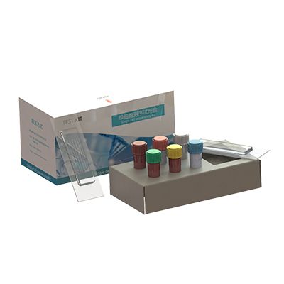 单细胞测序试剂盒