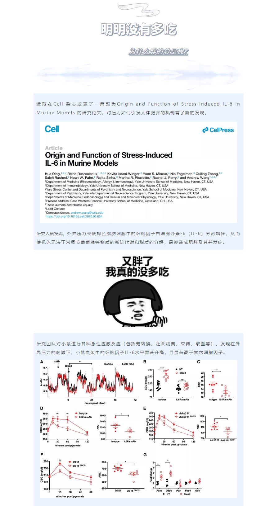 明明没有多吃，为什么胖的总是我？
