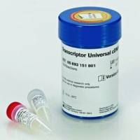 Transcriptor 通用 cDNA 预混液