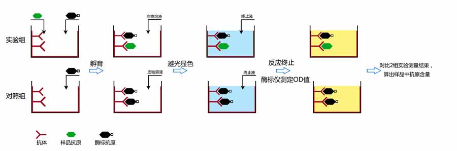 小鼠KI-67抗原MKI67酶联检测试剂盒操作流程