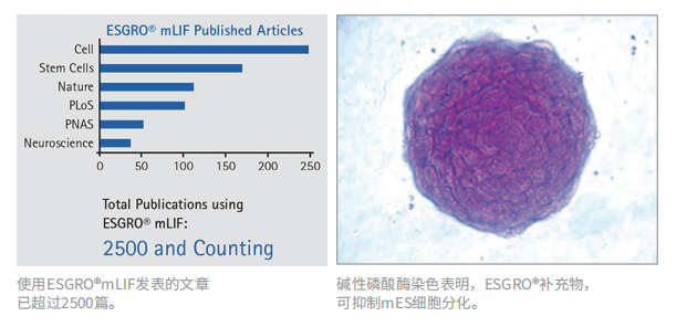 ESG1107  ESGRO® Recombinant Mo