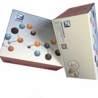鱼17-羟孕烯醇酮ELISA kit