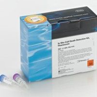 In Situ Cell Death Detection Kit, Fluorescein