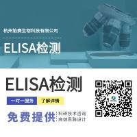 酶联免疫吸附实验#ELISA检测#酵素免疫分析法#gM抗体检测#多因子检测                抗体