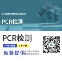 PCR检测实验