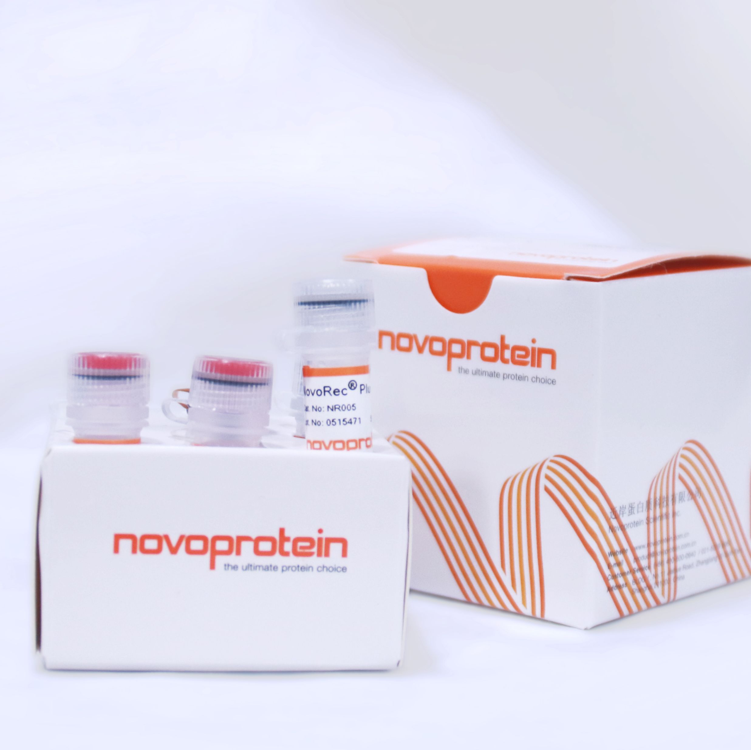 NovoRec® Plus PCR一步定向克隆试剂盒