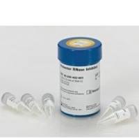 Protector RNase Inhibitor