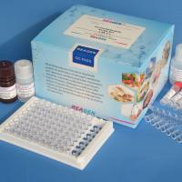 快速检测猪肉β-兴奋剂检测盒