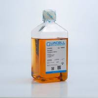 Wayne293™ 瞬转培养基，悬浮，无动物源成分