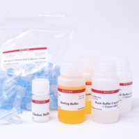 DNA凝胶提取试剂盒- 250 Columns 31030-250