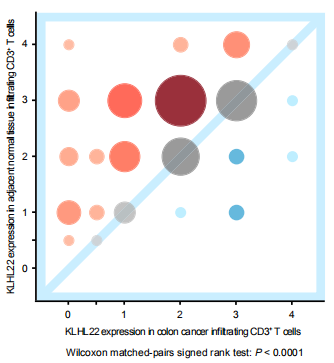 Klhl22敲除小鼠揭示调控PD-1蛋白水平稳态的新机制