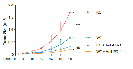 Klhl22敲除小鼠揭示调控PD-1蛋白水平稳态的新机制