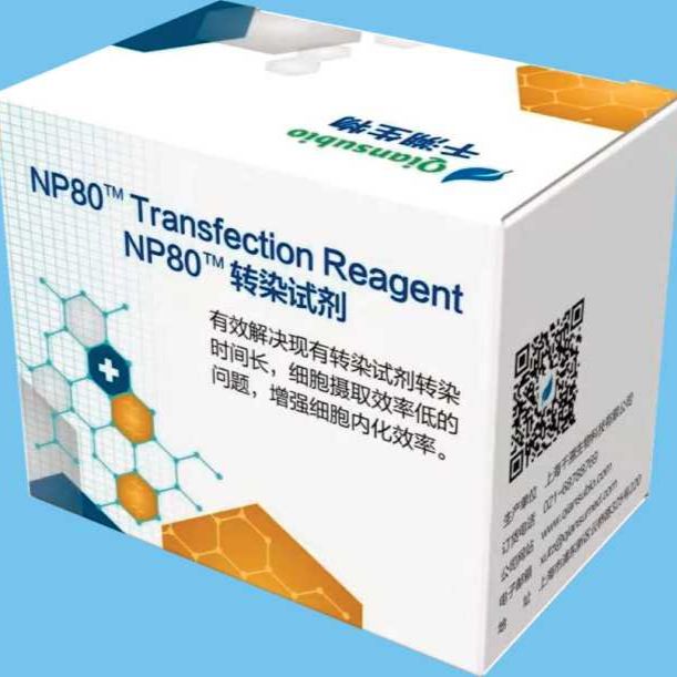 NP80TM Transfection Reagent  转染试剂