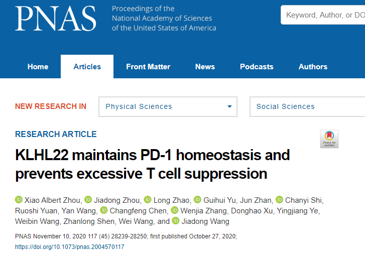 Klhl22敲除小鼠揭示调控PD-1蛋白水平稳态的新机制