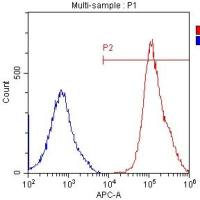 人间充质干细胞流式检测