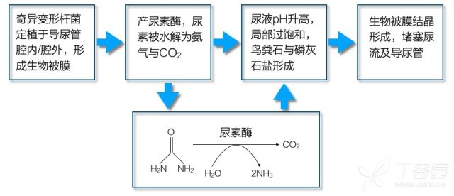 微信图片_20201223154037.jpg