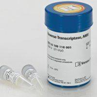 逆转录酶AMV/Reverse Transcriptase AMV