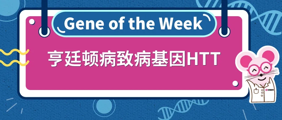 亨廷顿病致病基因HTT