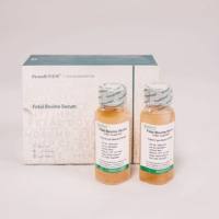 50mL瓶装特级胎牛血清