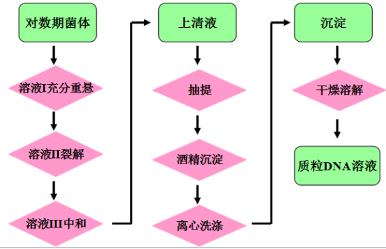 核酸提取系列连载（三）