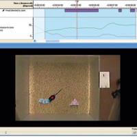 新异物体识别系统