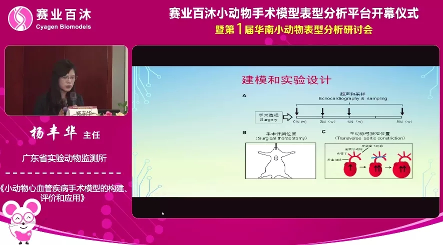 小动物心血管疾病手术模型的构建、评价和应用