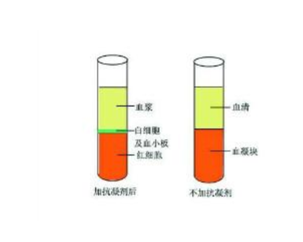新闻图片9